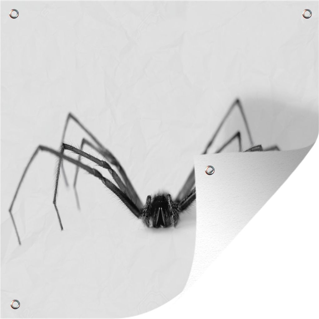 MuchoWow 100x100 cm Outdoor-Poster Gartendeko Sichtschutz Garten Poster für den Garten Schwarze Spinne auf weißem Hintergrund