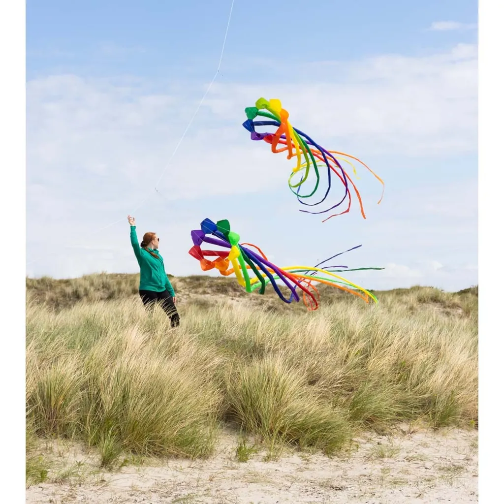 Queue HQ Soft Swirl Rainbow 6m en lin - Accessoire vol haute qualité