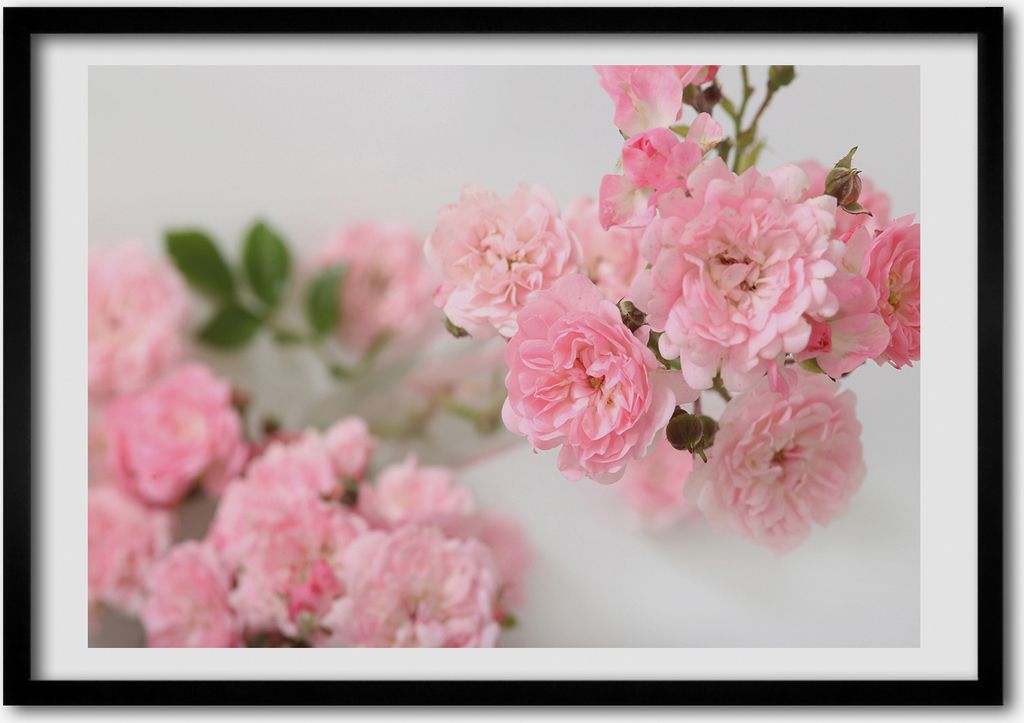 Bild - Bilder - Bilderrahmen - 70 cm x 50 cm - MDF-Rahmen, Wandkunst wilde Rosen