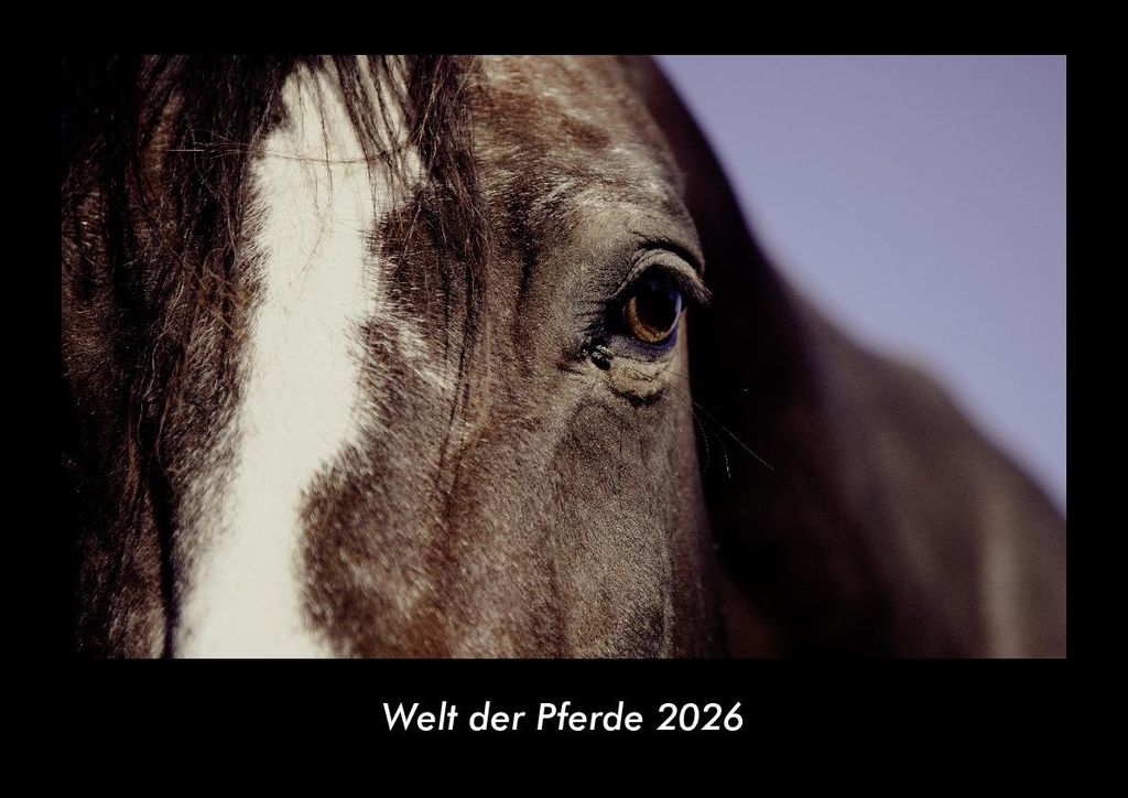 Welt der Pferde 2026 Fotokalender - Querformat DIN A3, Monatskalender mit Bild-Motiven von Haustieren, Bauernhof, wilden Tieren und Raubtieren