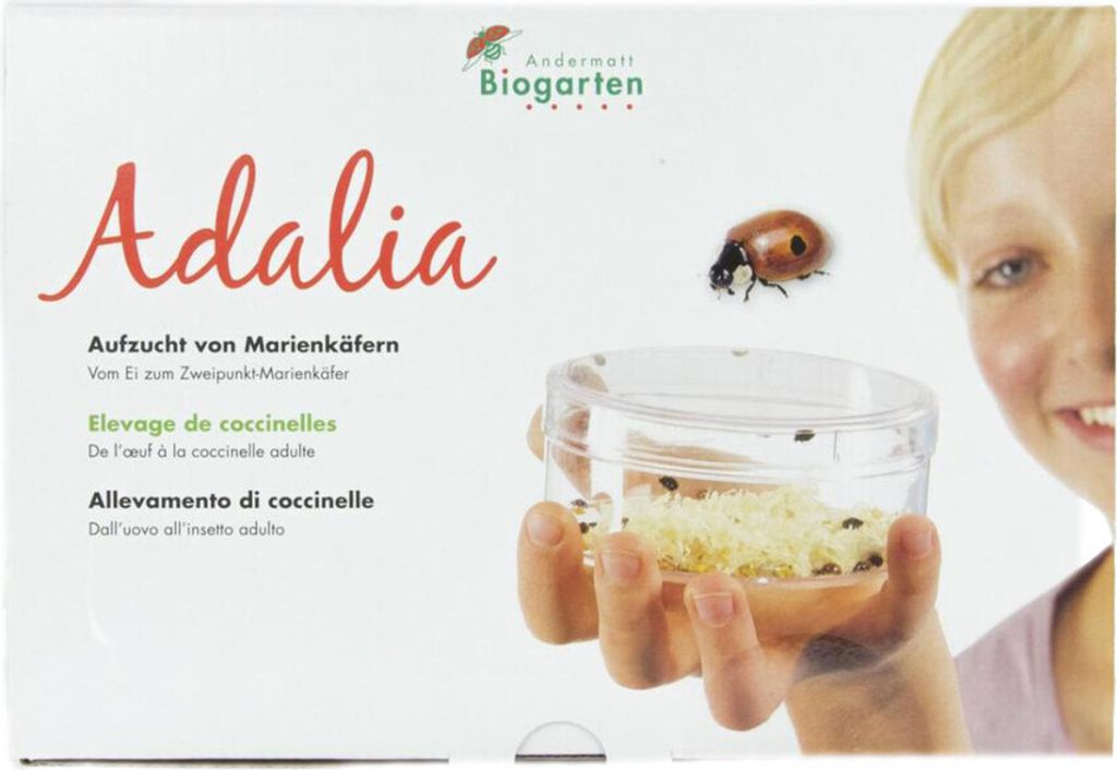 Andermatt Marienkäferaufzuchtset Adalia Box mit Gutschein 6943G (Garten)