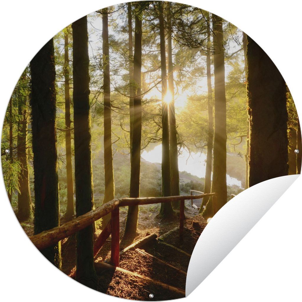 MuchoWow Gartenposter Outdoor-Poster Rund Azoren - Treppe - Wald Ø 90 cm Gartendeko Rundes Poster draußen