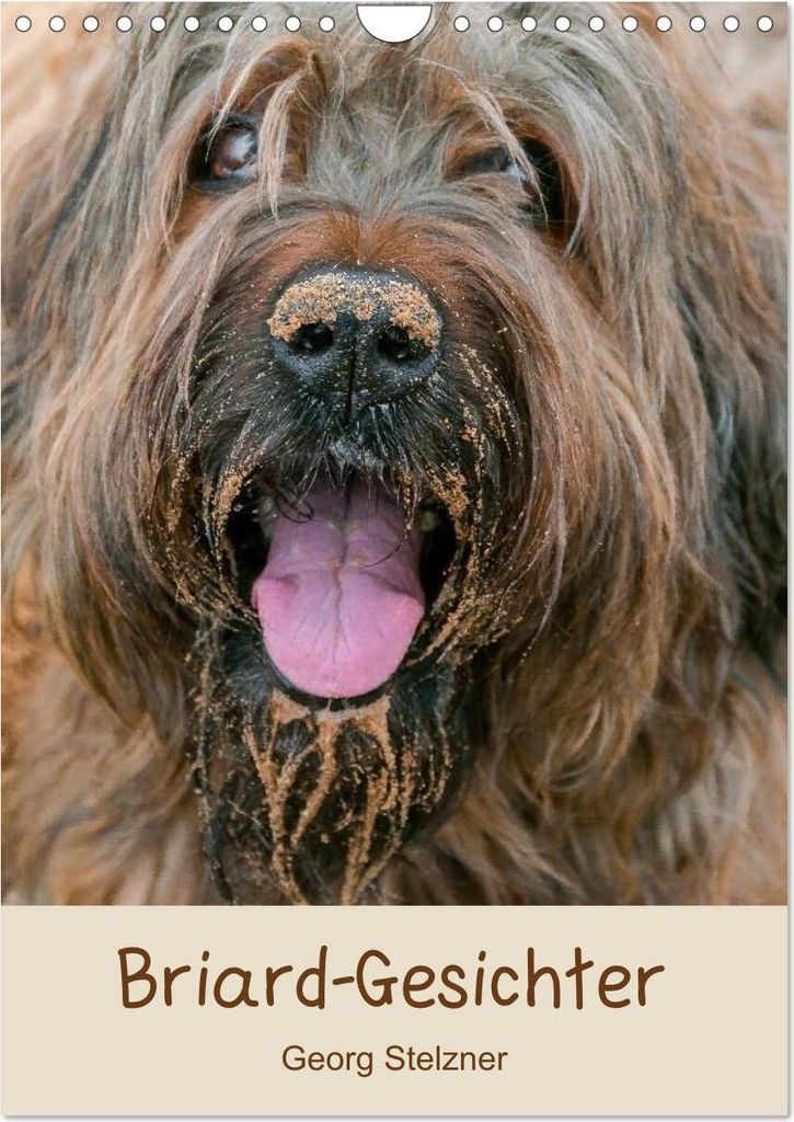 Briard-Gesichter (Wandkalender 2026 DIN A4 hoch), CALVENDO Monatskalender