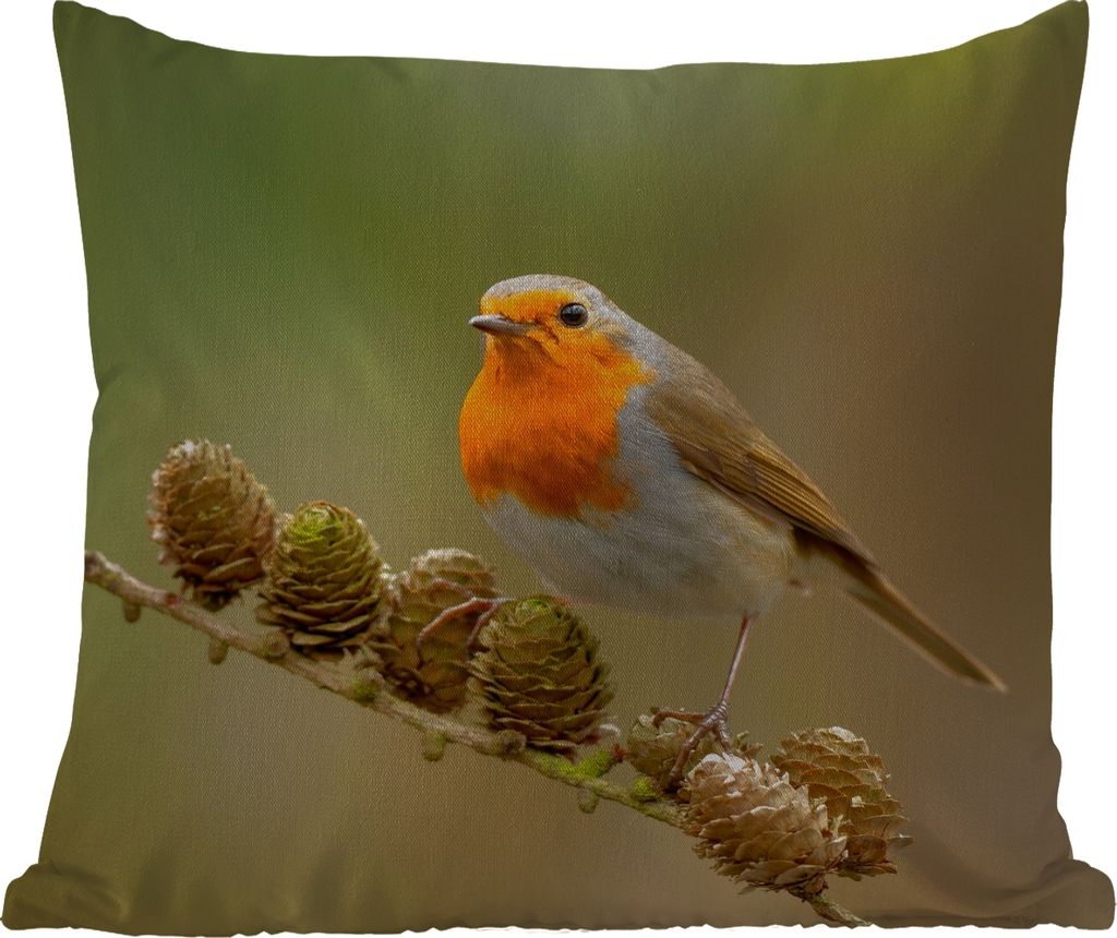 MuchoWow Outdoor Kissen - Vogel - Rotkehlchen - Tannenzapfen - Zweig - Herbst - 60x60 cm - Wetterfest - Lounge Kissen - Dekoration - Schlaf Kissen