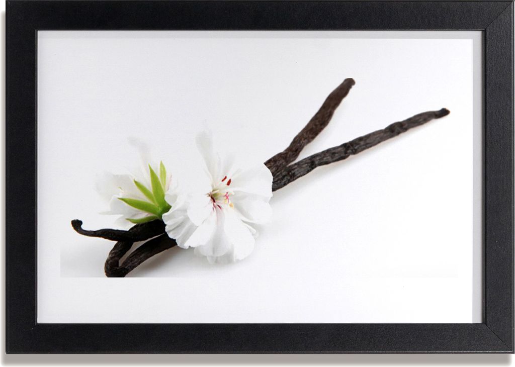 Bild 30x20 MDF-Rahmen Wandkunst Natur Blume Pflanze