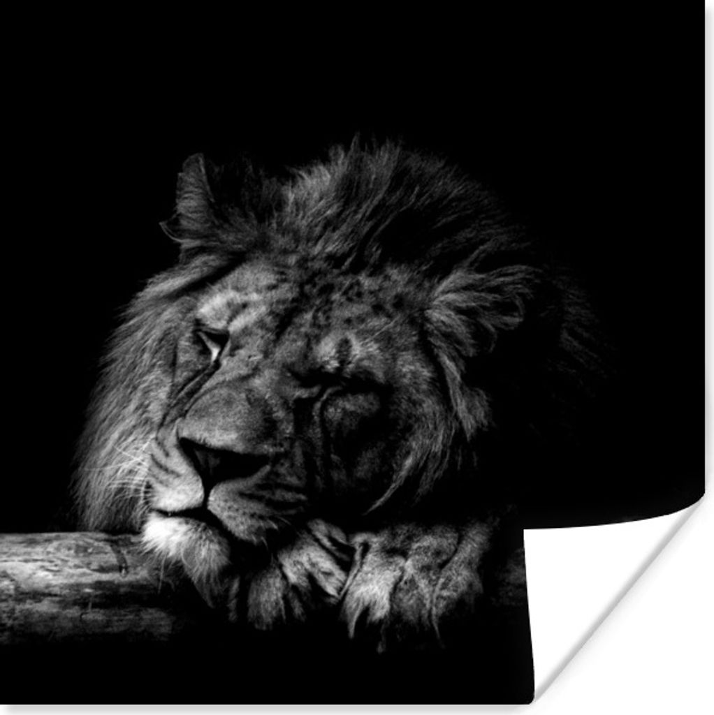 MuchoWow Poster Löwe - Baum - Schwarz - Weiß 100x100 cm - Babyzimmer
