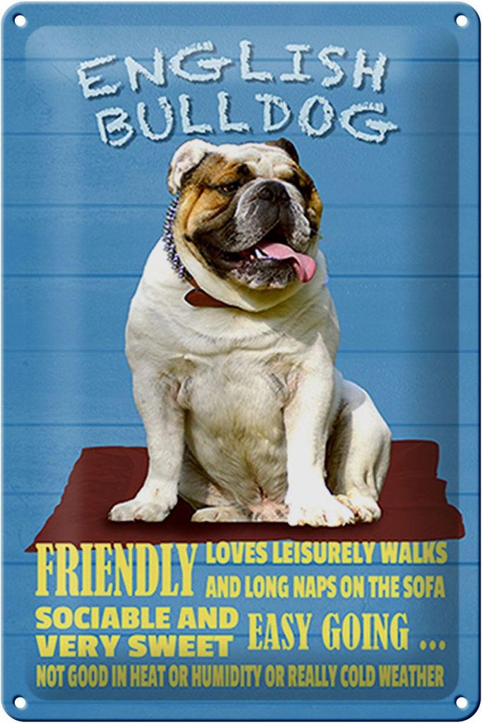 Blechschild Spruch 20x30cm English Bulldog Hund friendly
