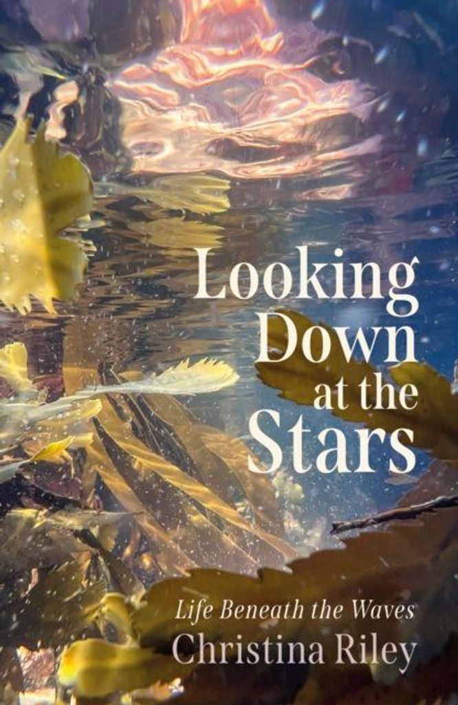 Looking Down at the Stars