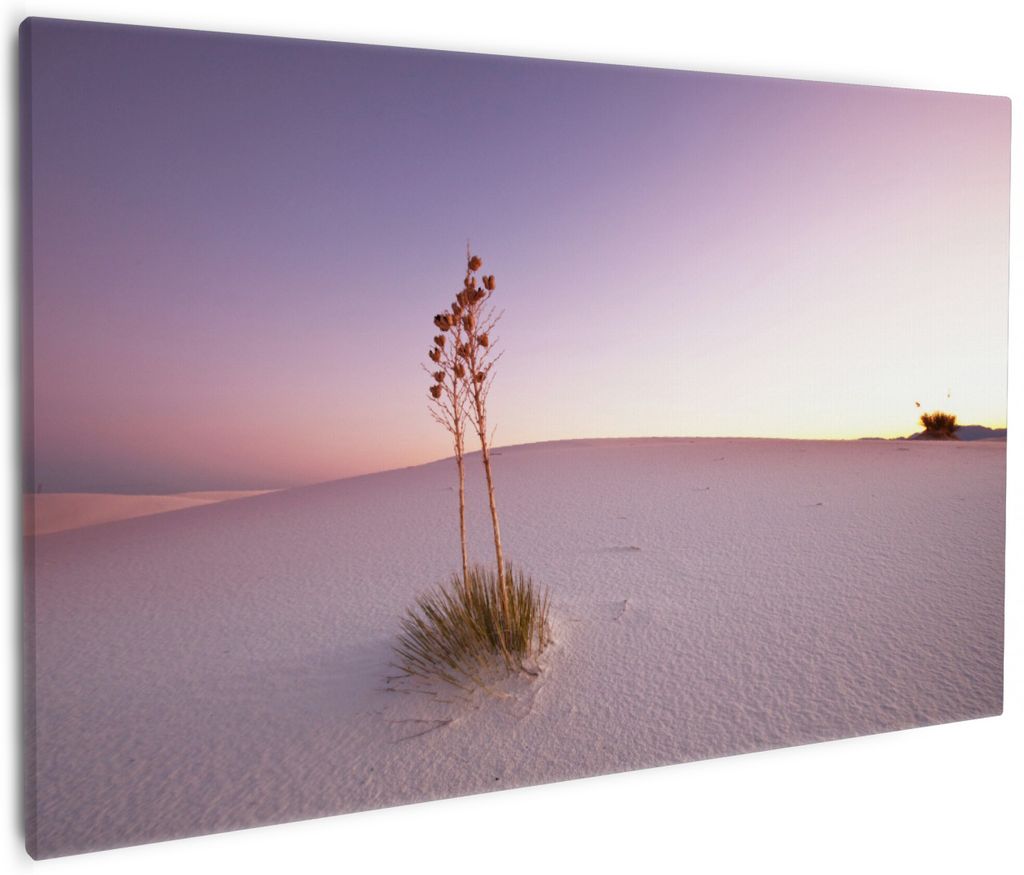 Wallario Premium Leinwandbild Kleine Oase in der Wüste in Größe 60 x 90 cm
