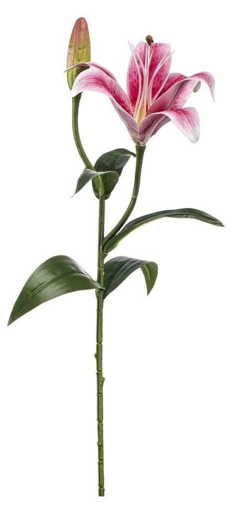 .de Künstliche Tigerlilie MIXLON, rosa, 55cm - Kunstblume Lilie