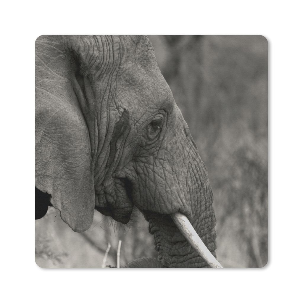 MuchoWow Mauspad Mousepad Elefant - Tiere - Schwarz - Weiß 30x30 cm - Mousepads - Maus Mat - Pad - Mausunterlage - Gaming