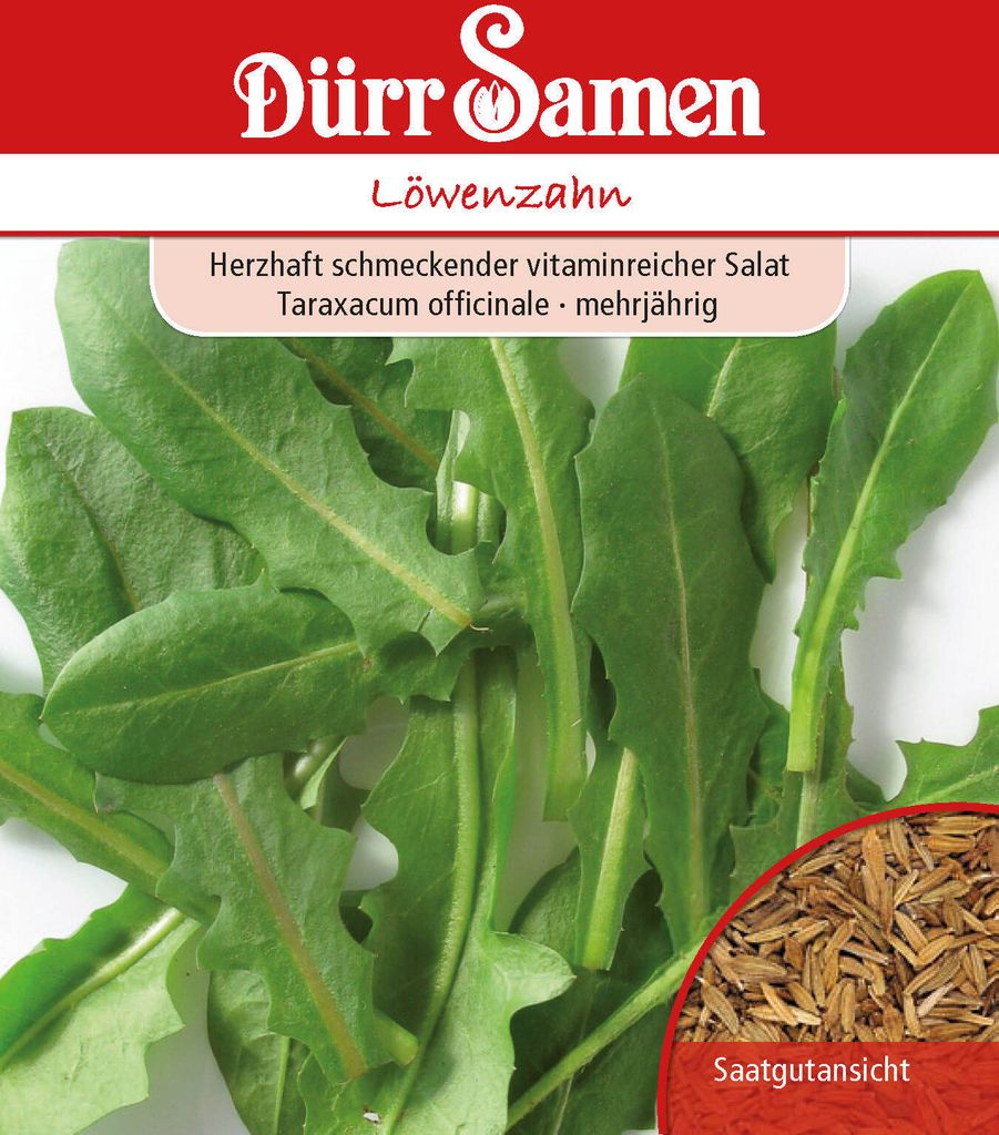 Löwenzahn | Löwenzahnsamen von Dürr Samen Produktbild 