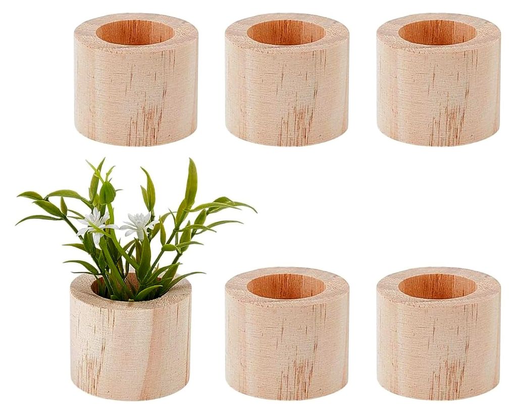 6 Stück Holzhalter für Luftpflanzen im rustikalen Stil zur Präsentation von Sukkulenten und kleinen Pflanzen für die Dekoration im Home Office ...