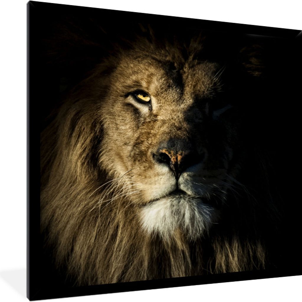 MuchoWow Gerahmtes Poster Löwe - Licht - Schwarz 40x40 cm - Poster mit Schwarzem Bilderrahmen Wandposter Rahmen Foto Bilder - Mit Rahmen - Wandd...