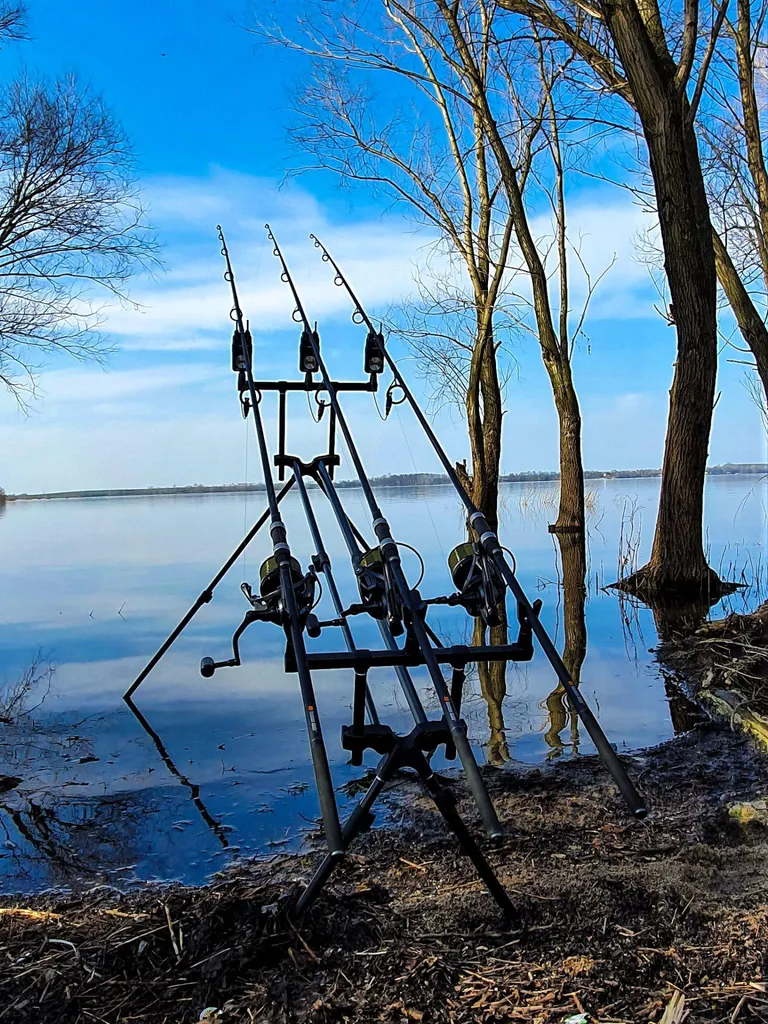 Rod Pod Carpe Stable et Léger : la Solution pour vos Berges Difficiles - 2
