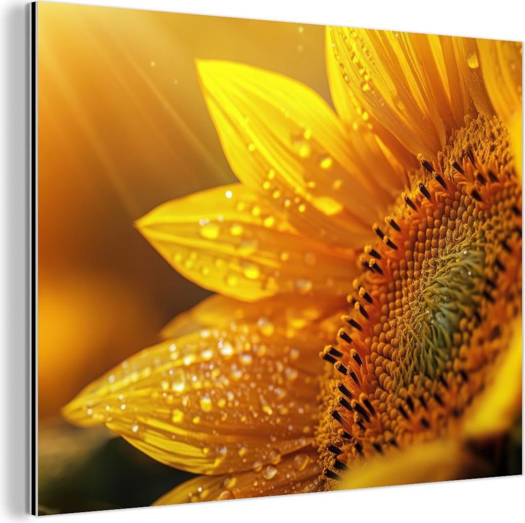 MuchoWow Wanddekoration Metall Metallbild Wandkunst 80x60 cm Sonnenblume - Tautropfen - Gelb - Sonnenlicht MuchoWow Aluminium Gemälde - Alubild