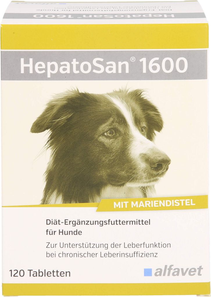 HepatoSan 1600 120 Tab. Produktbild 