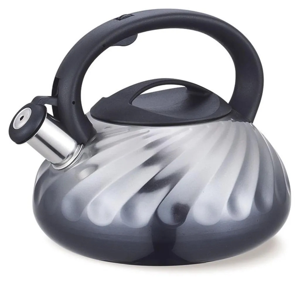 Bouilloire sifflante 3L MR1321GREY en acier inox pour tous feux dont induction