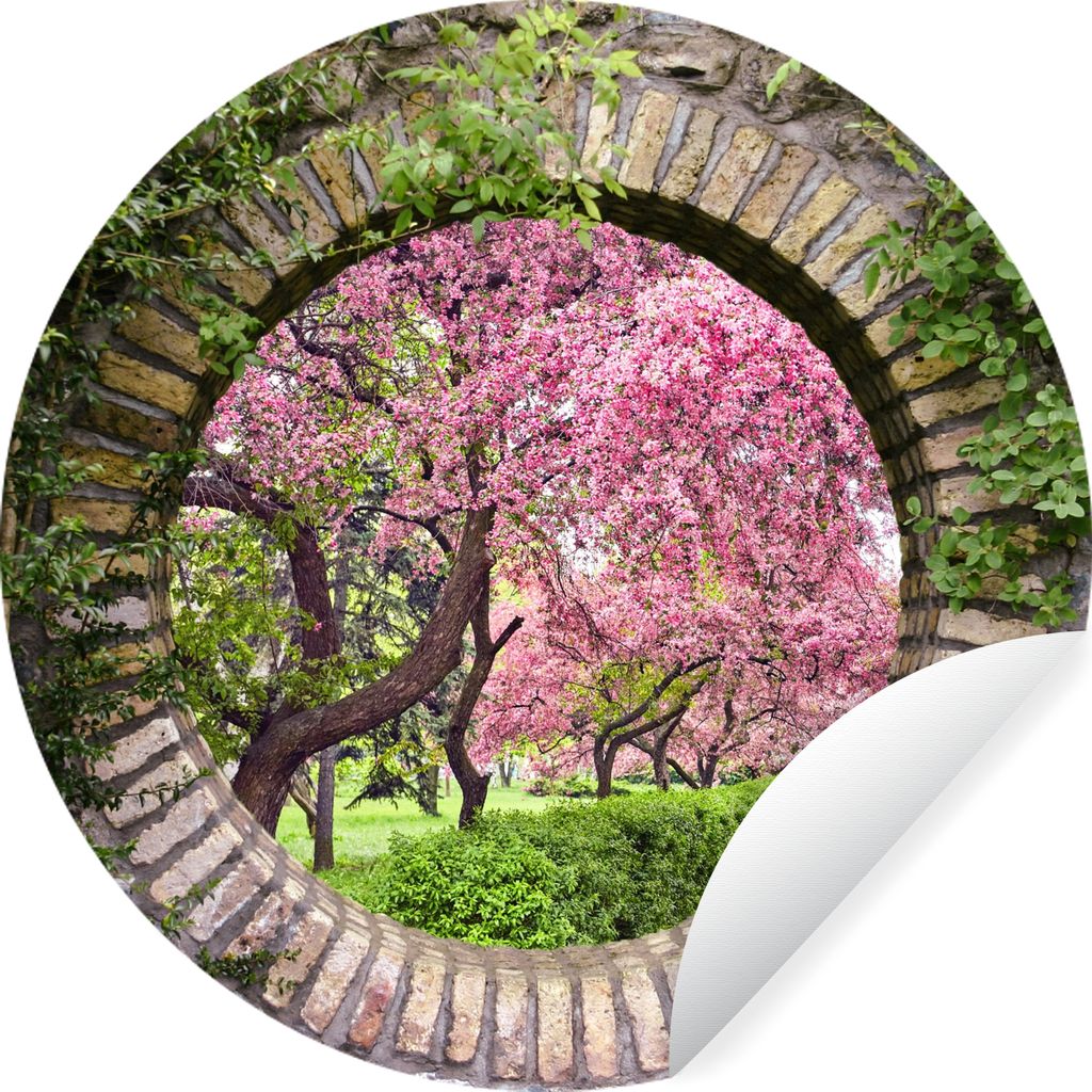 MuchoWow Runde Wandtattoo - Wandsticker Tapete Aufkleber Transparent - Sakura - Blüte - Japanisch Ø 50 cm Selbstklebend und Repositionierbar - ...