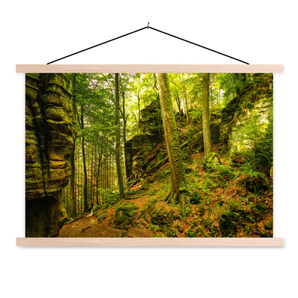 MuchoWow Textilposter Bäume - Stein - Wald - Natur - Pflanzen 60x40 cm mit holzfarbenen Rahmen - Bilder