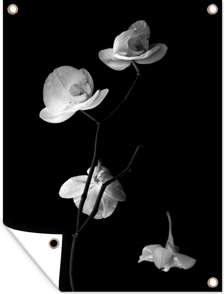MuchoWow 90x120 cm Outdoor-Poster Gartendeko Sichtschutz Garten Poster für den Garten Orchidee - Blumen - Schwarz - Weiß - Stilleben