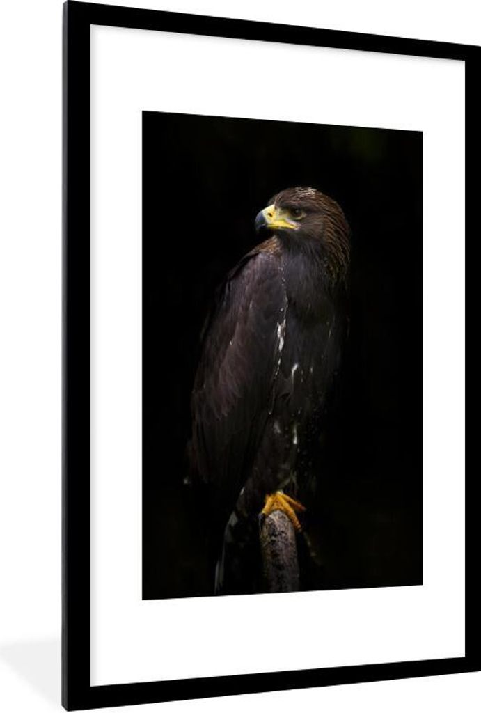 MuchoWow MuchoWow Gerahmtes Poster Adler - Tier - Braun 60x90 cm - Poster mit zchwarzem Bilderrahmen - Dekoration - Wandposter Wohnzimmer - Hoc...