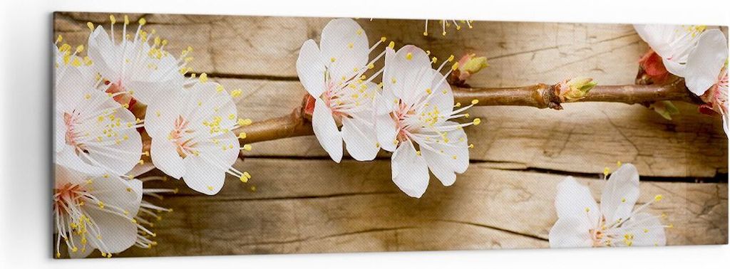 Bild auf Leinwand - Leinwandbild - Blume Stängel - 160x50cm - Wand Bild - Wanddeko - Wandbilder - Leinwanddruck - Bilder - Kunstdruck - Wanddekora...