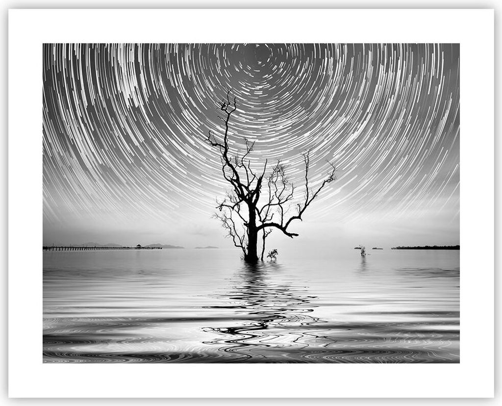 Poster - Poster ohne Rahmen - Schwarzweiß Baum See - 50x40 cm - Wand Bild - Wanddeko - Wandbilder - Kunstposter - Wandposter - Bilder - Kunstdruck...