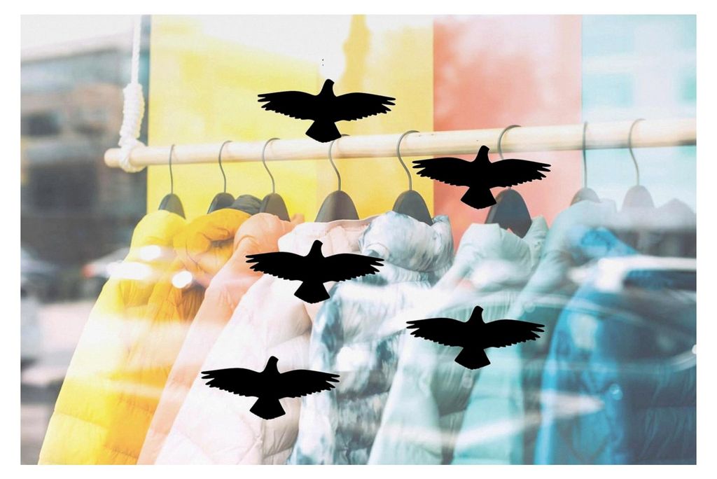 Fensteraufkleber Folie Greifvogel Vögel - 24x10cm - für Wohnzimmer, Esszimmer, Küche, Schlafzimmer, Kinderzimmer und mehr – mit Anleitung (5er...