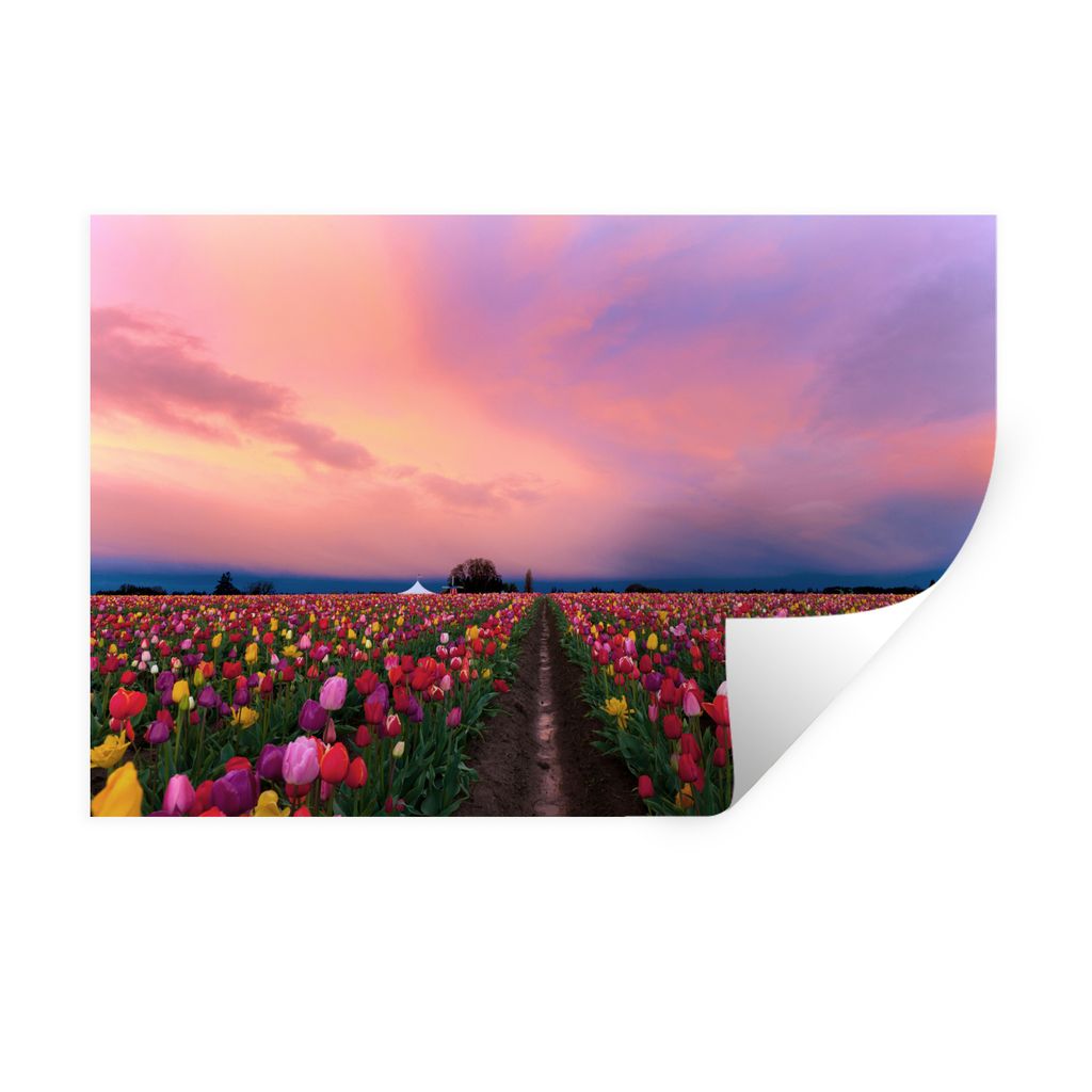 MuchoWow Wandtattoo Wandsticker Wandaufkleber Sonnenuntergang auf dem Tulpenfeld 60x40 cm Selbstklebend und Repositionierbar - Wierderverwendbar ...