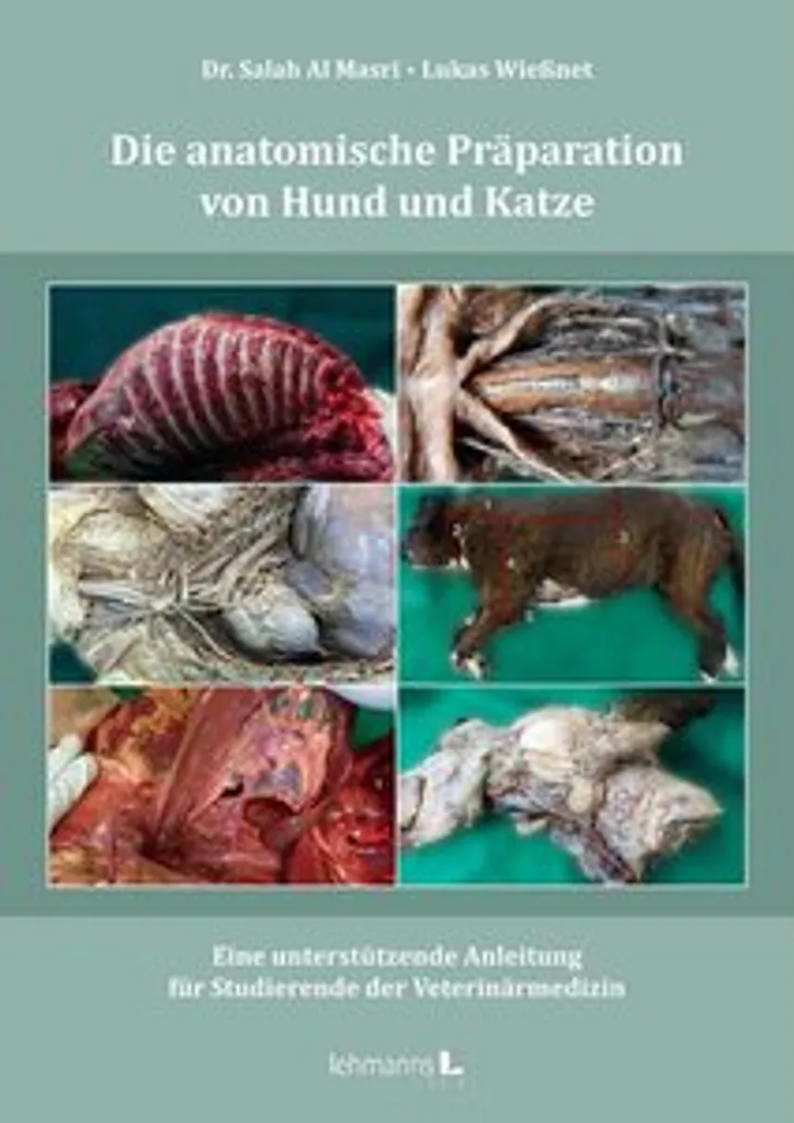 Support de cours vétérinaire Die anatomische Präparation Hund Katze