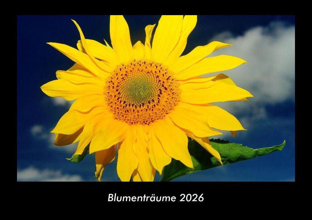 Blumenträume 2026 Fotokalender - Querformat DIN A3, Monatskalender mit Bild-Motiven aus Fauna und Flora, Natur, Blumen und Pflanzen