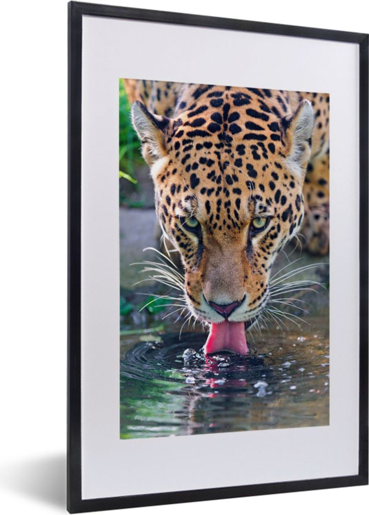 MuchoWow MuchoWow Gerahmtes Poster Jaguar - Wasser - Zunge 40x60 cm - Poster mit zchwarzem Bilderrahmen - Poster in Rahmen