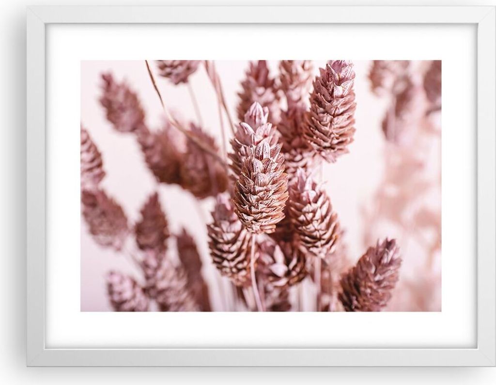 Gerahmtes Poster - Weißer Rahmen - Getrocknet Blume Eco - Produktbild 