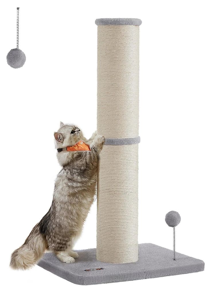 Kratzbaum für Katzen - Kratzsäule - 85 cm Hoch - Stamm Ø13 cm - 2 Ebenen - Für Mittelgroße & Große Katzen - Holz - Taubengrau