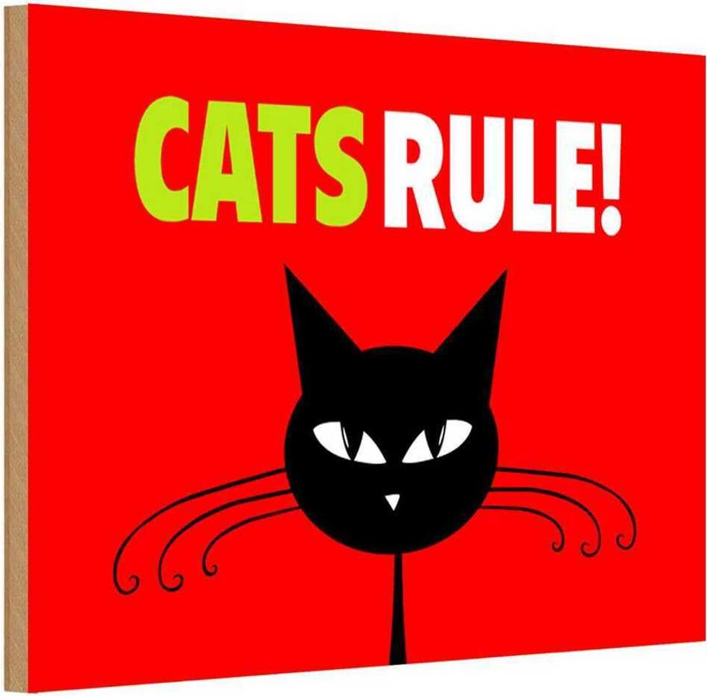 vianmo Holzschild 20x30 cm cats rule Katze Tier Haustier