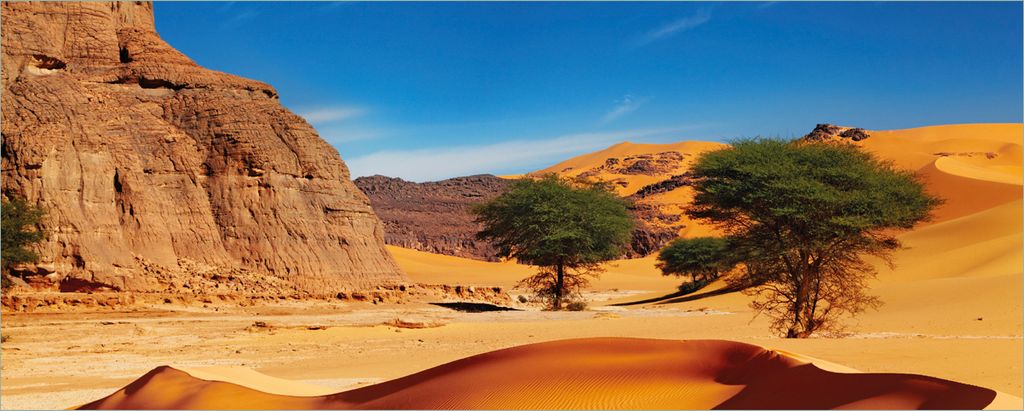 Wallario Poster - In der Wüste Sahara, Kunstdruck Größe: 80 x 200 cm