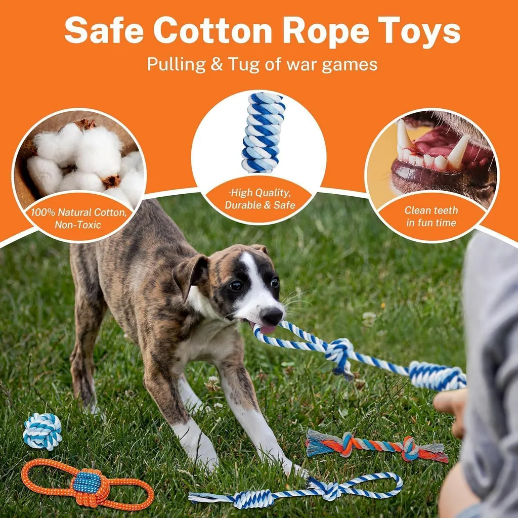 Set Giocattoli Toozey per Cani Piccoli: 8 Pezzi Resistenti e Divertenti - 3