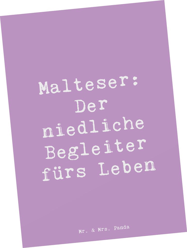 Mr. & Mrs. Panda Postkarte Spruch Malteser Begleiter - Produktbild 