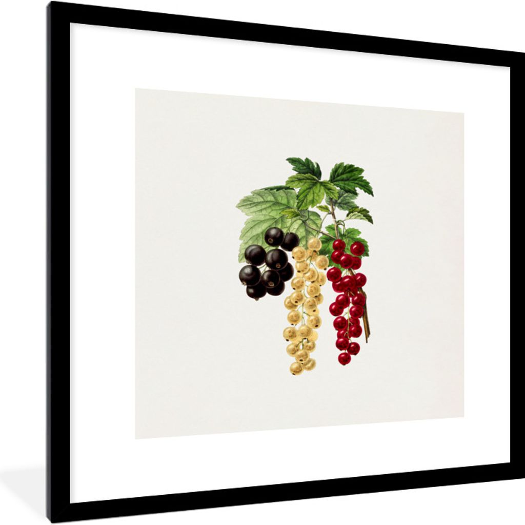 MuchoWow Gerahmtes Poster Beeren - Lebensmittel - Pflanze 40x40 cm - Poster mit Schwarzem Bilderrahmen Wandposter Rahmen Foto Bilder - Poster - P...