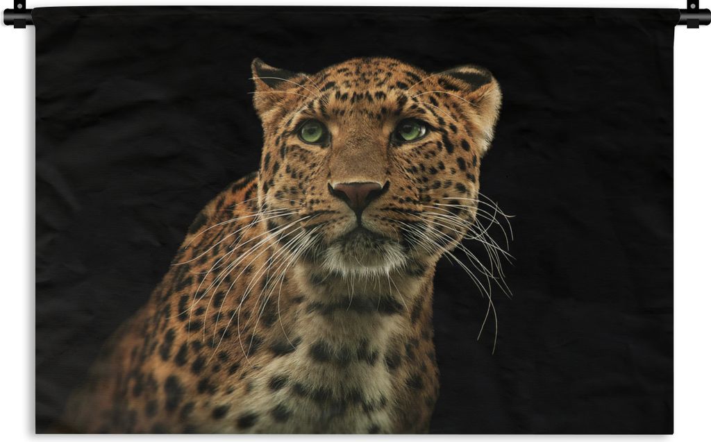 MuchoWow Wandteppich Wandbehang Panther - Schwarz - Grün 150x100 cm Tapisserie Dekoration Wandtuch - Waschbar - Tapisserien - Wand-Decke
