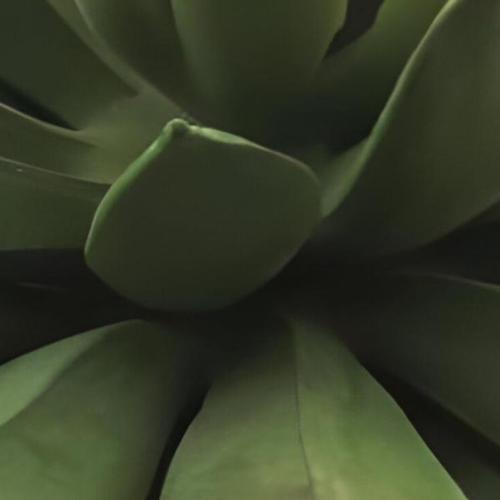 Warentuin Producten