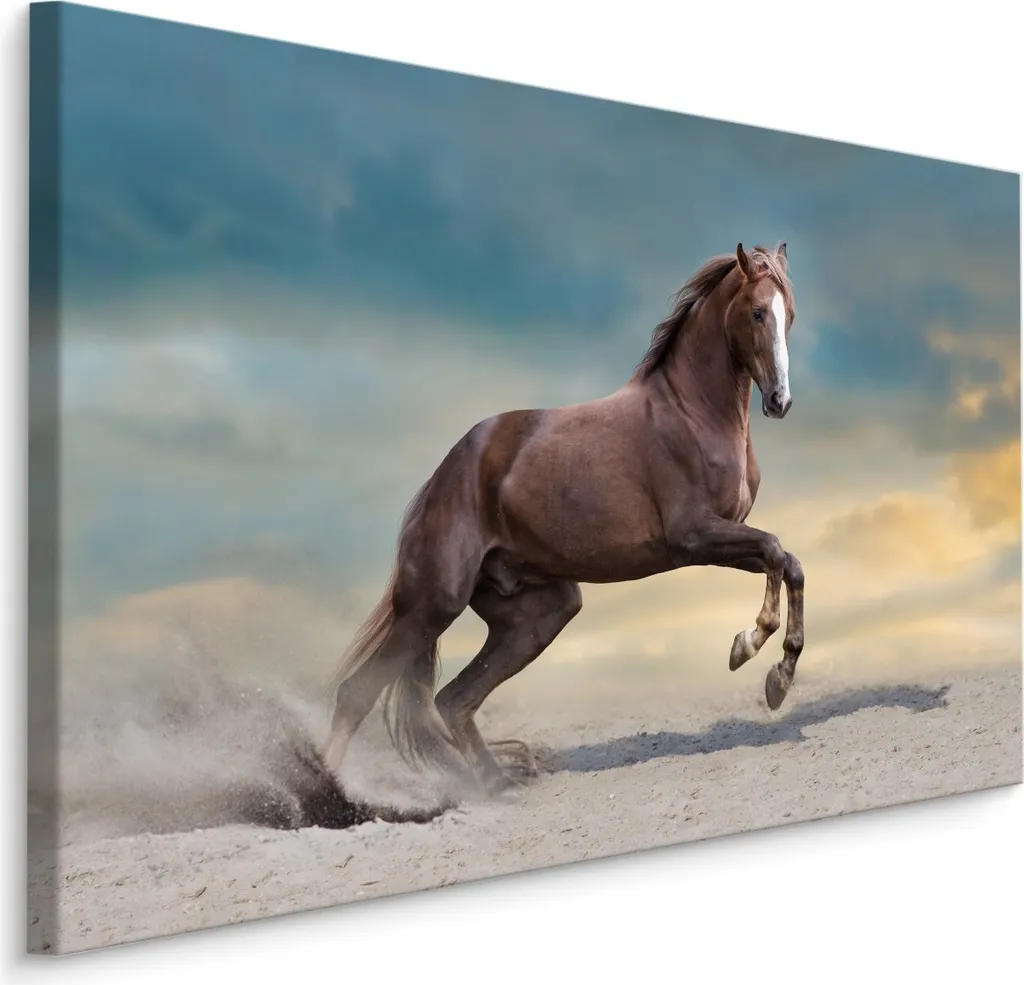 Quadro Canvas 120x80 Animali Selvaggi | Cavallo nel Deserto XXL