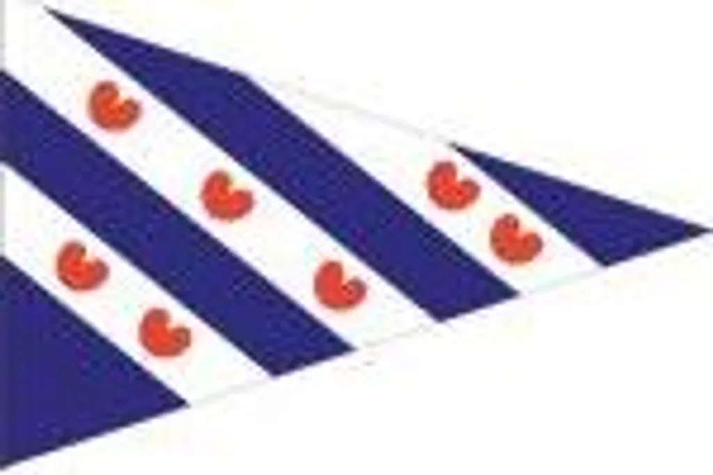 Pavillon régional Friesland 40x60 cm drapeau en maille bloquée