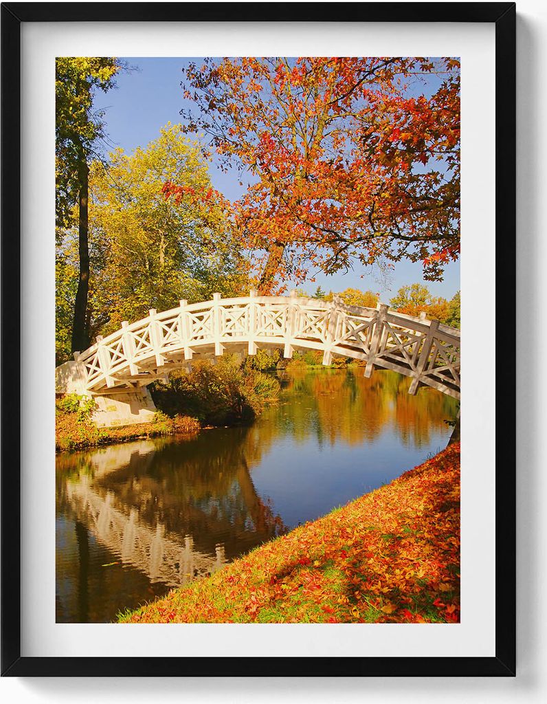 Wörlitzer Park im goldenen Herbst– Wandbild mit Rahmen – Gerahmtes Bild – Wanddekoration – 60x80 cm – Schwarz Rahmen