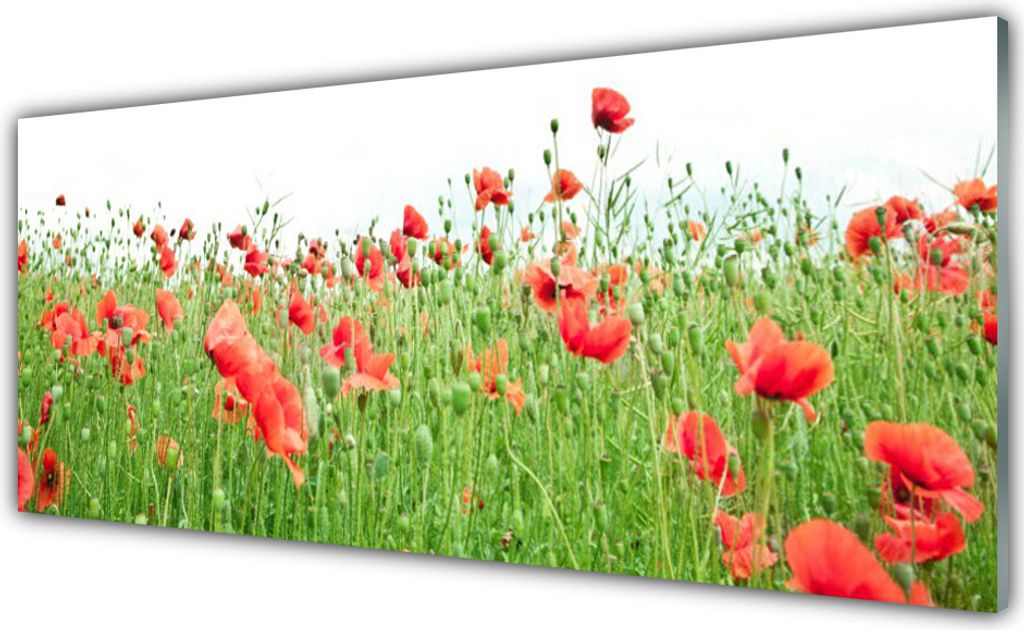 Glasbilder 125x50 Wandbild Druck auf Glas Mohnblumen Natur