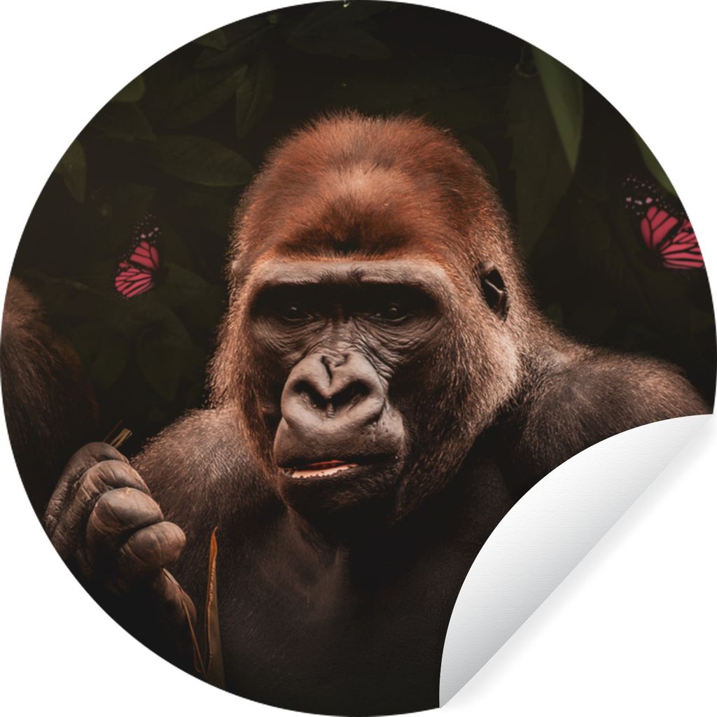 MuchoWow - Wand Kreis - Wand Bild - Foto Tapete - Selbstklebende - Wohnzimmerdekoration - Wand Dekoration - Kinderzimmer