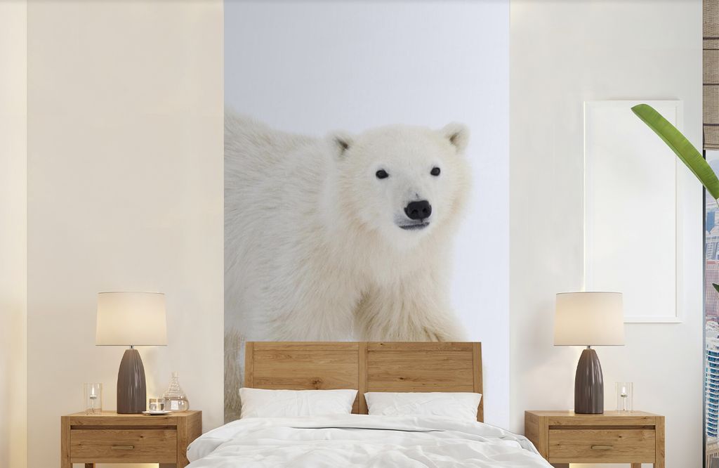 MuchoWow Fototapete für Wohnzimmer oder Schlafzimmer Wandtapete Vinyl Motivtapete Eisbär - Schnee - Weiß - 120x240 cm - Hintergrundbild