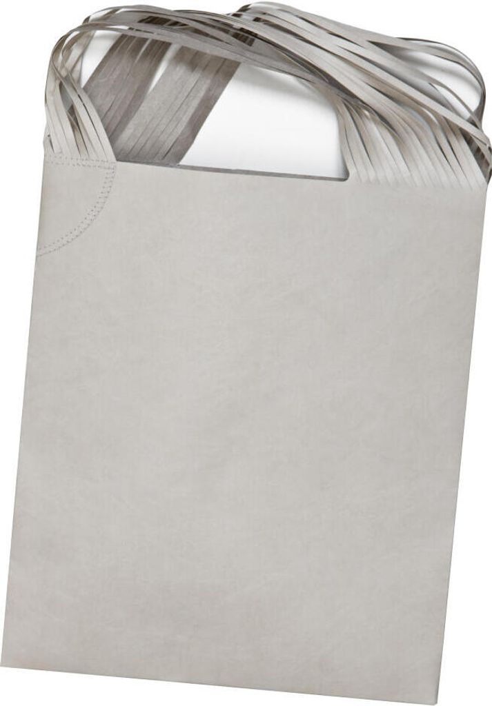 Authentics Papier A2 Tragetasche, Hdpe, Tyvek, Hellgrau, 30x45x1.5 cm, 4500214