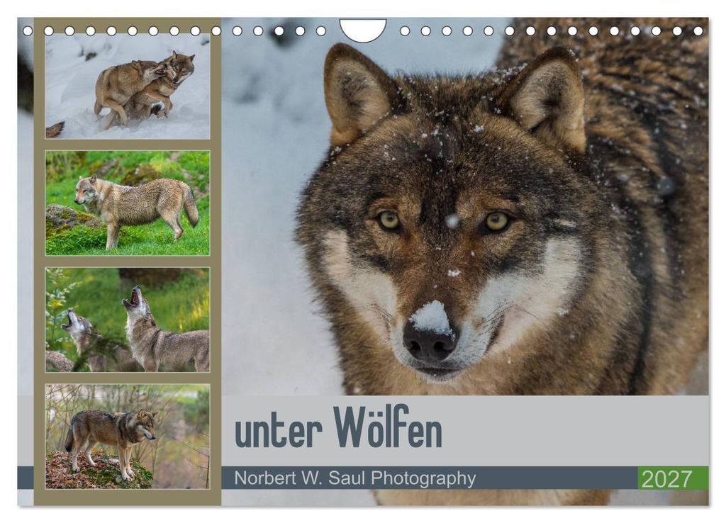 unter Wölfen (Wandkalender 2027 DIN A4 quer), CALVENDO Monatskalender